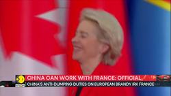 France pushes EU Tariffs as China trade tensions grow News Clip