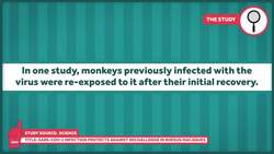 Coronavirus and Immunity, MIS, and Hydroxychloroquine: COVID News Roundup 5-27-2020 Instructional Video