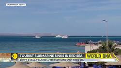 Tourist submarine with 45 Russians sinks in Red sea News Clip