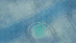 TED-Ed: These animals are also plants ... wait, what? | Luka Seamus Wright Instructional Video