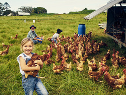 Exploring Communication: A Colorful Journey with Paco the Macaw Instructional Video