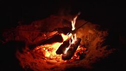 Roasting marshmallows over bonfire on the beach at night. Close-up Stock Footage