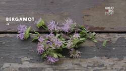 Reviving Native American Cuisine with The Sioux Chef Instructional Video