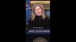 Man arrested over insurance executive murder News Clip