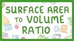 GCSE Biology - Surface Area to Volume Ratio Instructional Video