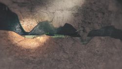 Details of how the boys trapped in a Thailand cave were rescued Instructional Video