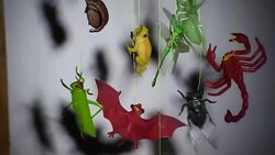 Atmosphere of Halloween Stock Footage