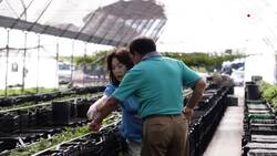 The Most Beautiful Fruits and Vegetables You’ve Never Seen Instructional Video