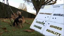 Green light for the new Commission team News Clip