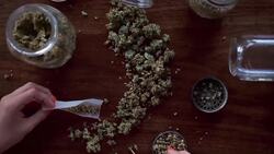 Marijuana and The Risk of Stroke Instructional Video