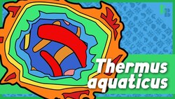 The Hot Microbe That Revolutionized Biology Instructional Video