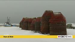 Uncertainty remains ahead of crab harvest News Clip