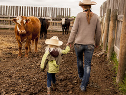 Adaptability: Embracing Change and Thriving in New Environments Instructional Video