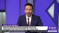 GOP Blocks Senate COVID Bill; Demands Vote On Immigration Reform News Clip