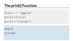Python 3 for Beginners: Introduction to Functions and Built-in Functions in Python Instructional Video