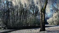 Winter Season Background Animation Stock Footage