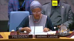 UN Security Council adopts draft resolution extending Yemen sanctions for another year News Clip