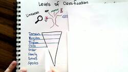 Levels of Classification Instructional Video