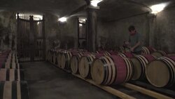 CLEAN : S.African wine 'paradise' finds success by going its own way News Clip