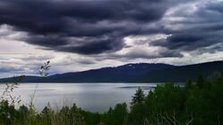 Blizzard Instructional Video