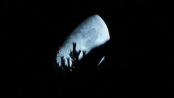 Moon over trees Stock Footage