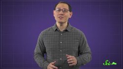 Why Are Some Animal Babies So Helpless Instructional Video