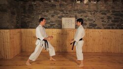 How to Do Block & Counter Techniques in Karate Instructional Video