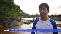VOICED : Represa en Brasil alimenta temores de catástrofe ambiental News Clip