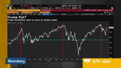 What's the Big Idea? There's a 'Trump Put' on Stocks News Clip