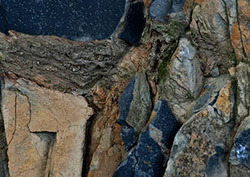 Metamorphism Instructional Video