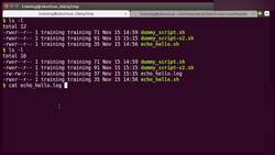 Bash Shell Scripting - "cron" Command Instructional Video
