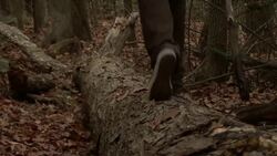 How to Prepare to Hike the Appalachian Trail Instructional Video