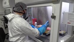 Inside a level three virus containment lab at the University of Glasgow News Clip