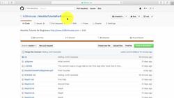 Mockito Tutorial: Learn mocking with 25 Junit Examples - Introduction Instructional Video