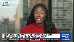 Arson investigator tells Scripps News finding source of Los Angeles wildfires could take months News Clip