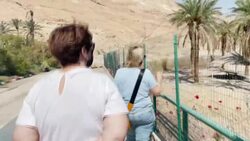 CLEAN : AFPTV BEST OF 2021 // Sinkholes emerge with the 'unstoppable' receding of the Dead Sea News Clip
