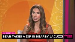 One Good Thing: Bear Takes A Dip in Jacuzzi News Clip