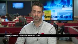 Stories to start your day from CBC N.L. — Tuesday, Nov. 4 News Clip