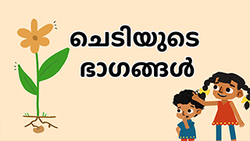 Introduction to Parts of the plant - Malayalam Instructional Video