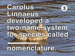 The Classification of Organisms: Video Assessment Instructional Video