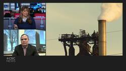 CBC News Aarti Pole speaks with Michael Garcia CEO of Algoma Steel about tariffs News Clip