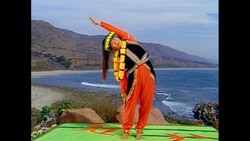 LOTUS Instructional Video