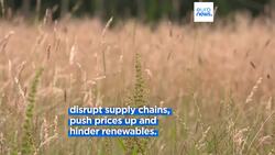 The European Green Deal faces its moment of truth: nature restoration News Clip