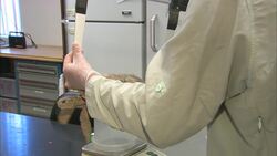 This Hotline Will Go A Long Way To Help This Specific Threatened Species Instructional Video