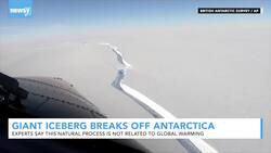 490-Square-Mile Iceberg Breaks Off Antarctica News Clip