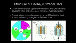 The GABAa Receptor & Positive Allosteric Modulation Instructional Video