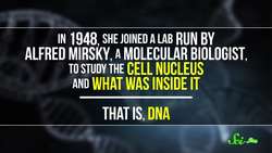 The Unsung Scientist Behind the Building Blocks of DNA | Marie M. Daly Instructional Video