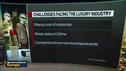 LVMH Sales Cast Doubt on Luxury Rebound News Clip