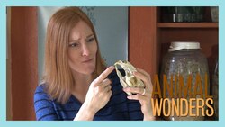 What Do I Do With the Body? Instructional Video