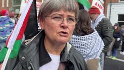 Pro-Palestine protesters rally in Dubin News Clip